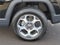 2022 Jeep Compass Trailhawk 4x4