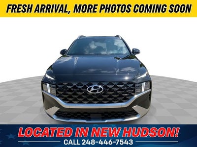 2023 Hyundai Santa Fe Calligraphy