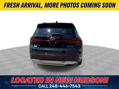 2023 Hyundai Santa Fe Calligraphy